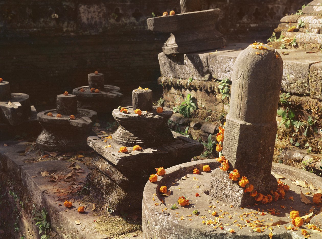 Shiva-Lingams im Pashupatinah-Tempel von Nepalese School