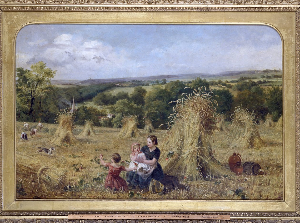 Das Erntefeld von Nevil Oliver Lupton