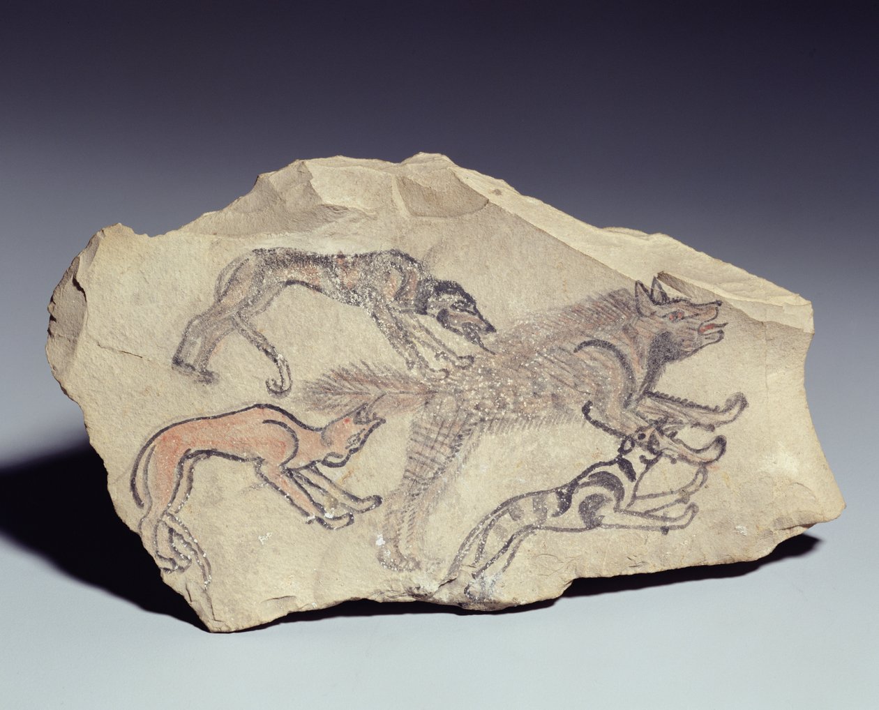 Ostrakon, das einen Hund zeigt, der eine Hyäne jagt von New Kingdom Egyptian