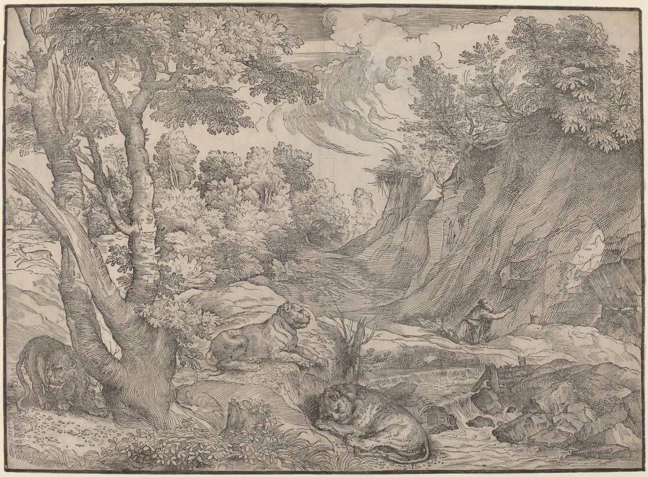 Der heilige Hieronymus in der Wildnis von Niccolò Boldrini after Titian