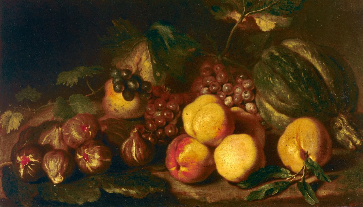Stillleben mit Obst von Niccolo Cassana