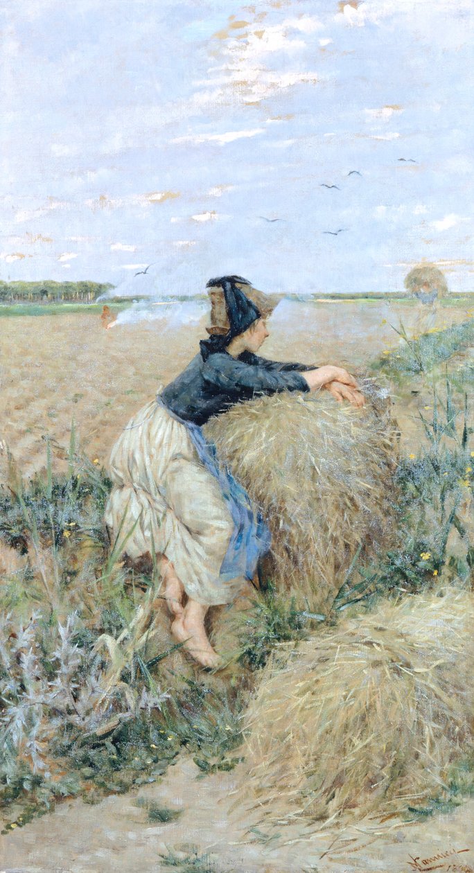 Weizengras in Tombolo von Niccolo Cannicci