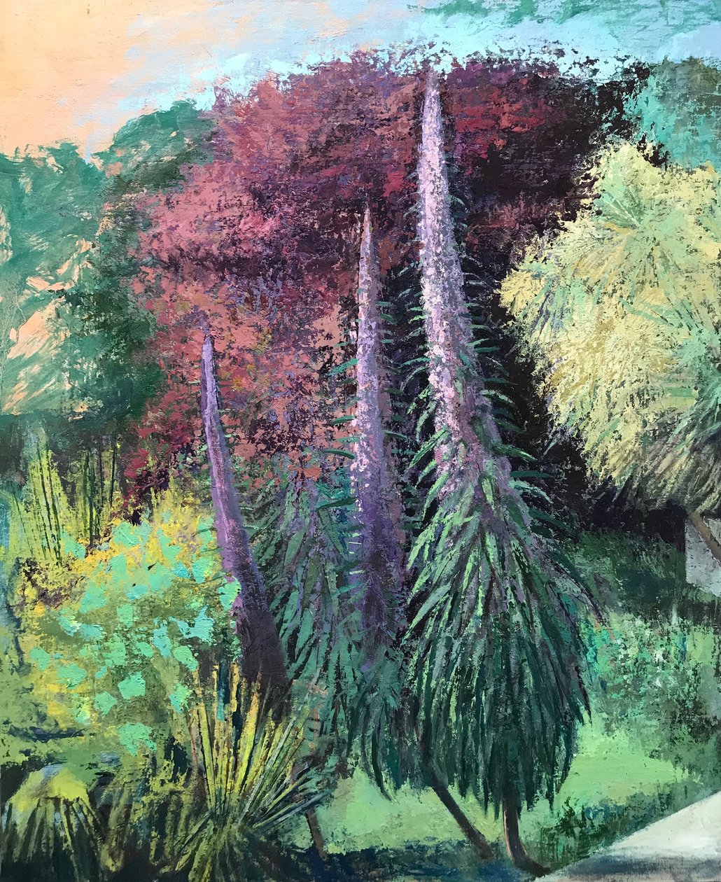 Drei Echiums von Nick Williams