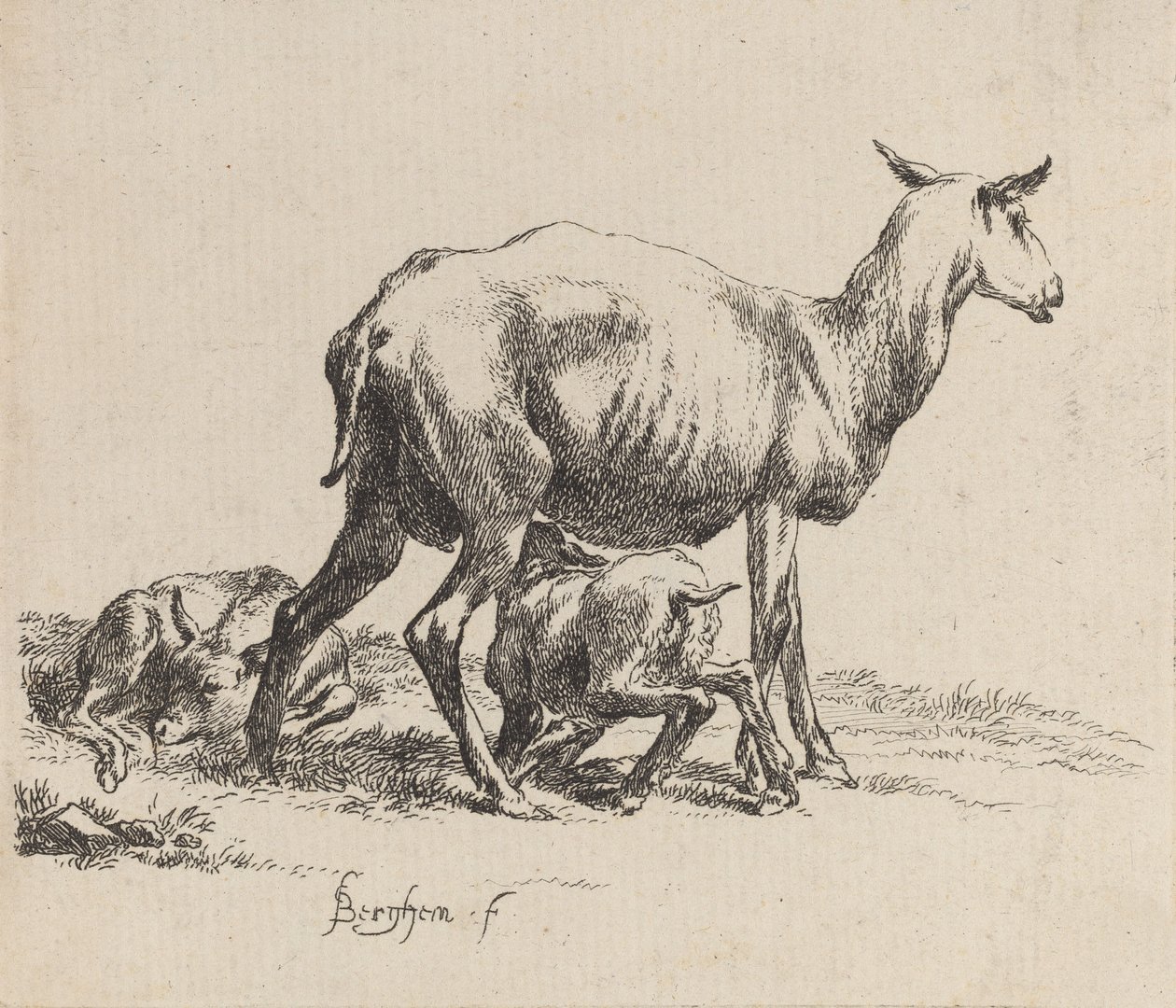 Mutterschaf säugt ihr Lamm von Nicolaes Berchem