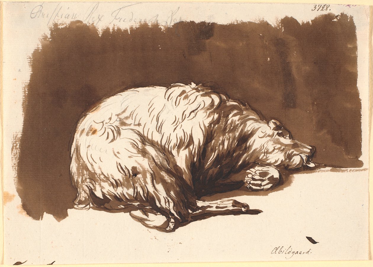 Ein liegender Bär von Nicolai Abildgaard
