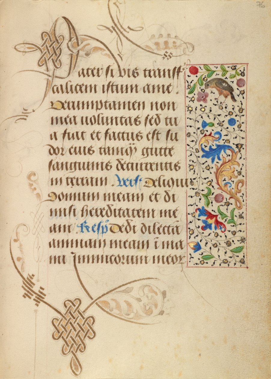 Geschmückte Textseite von Nicolas Spierinc
