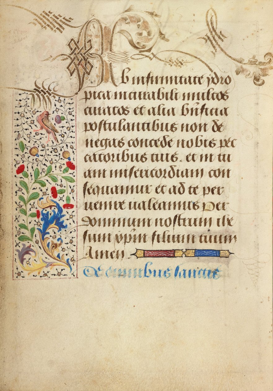 Dekorierte Textseite von Nicolas Spierinc