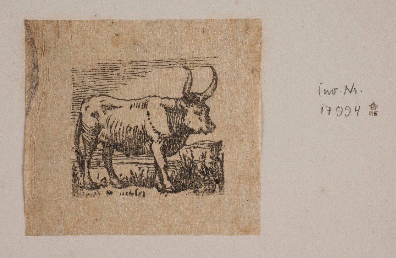 Ein Ochse von Niels Skovgaard