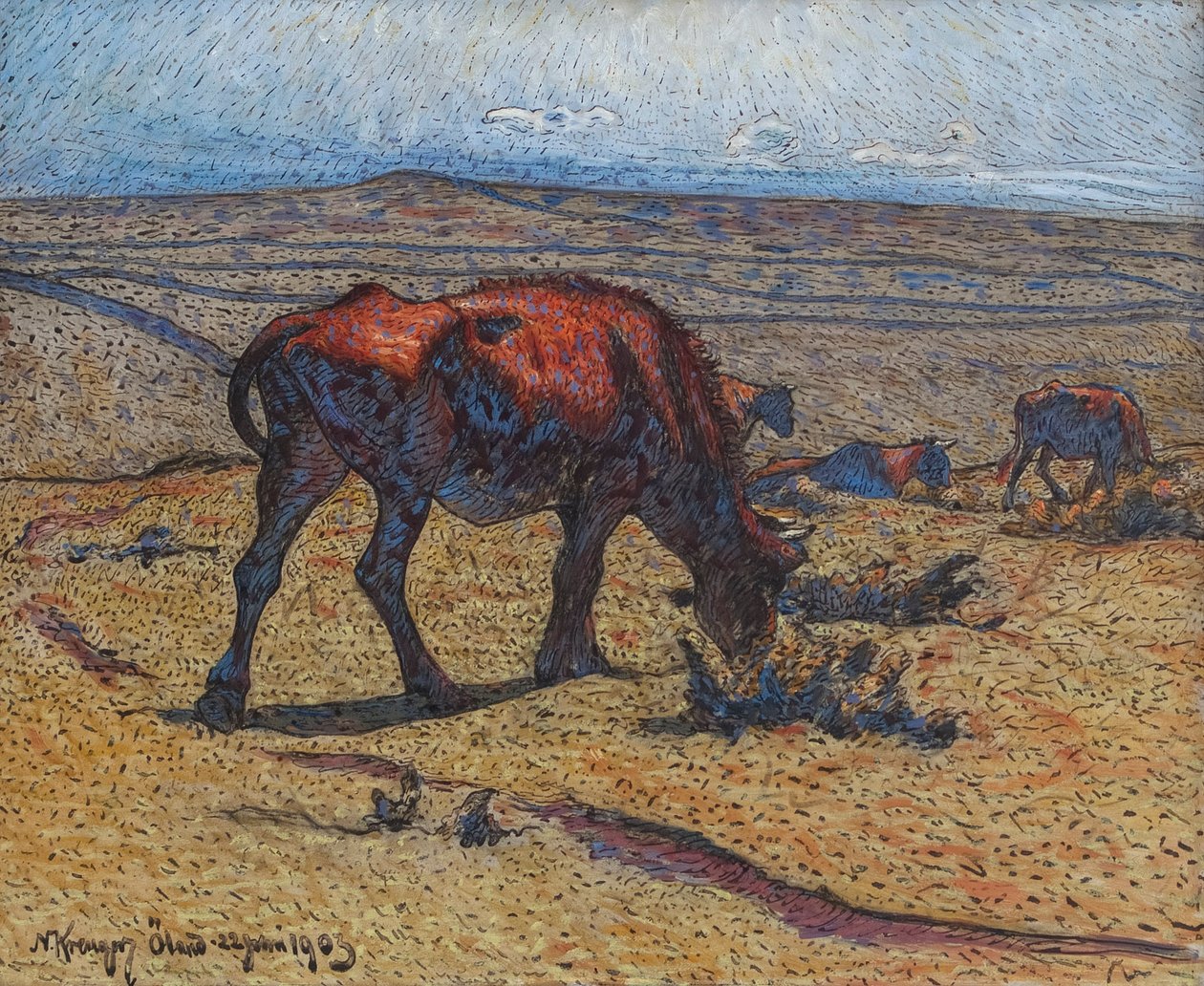 Jungrinder von Nils Kreuger
