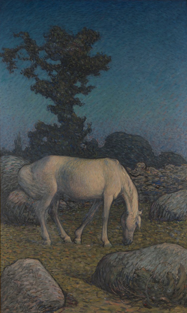 Weißes Pferd in der Dämmerung von Nils Kreuger