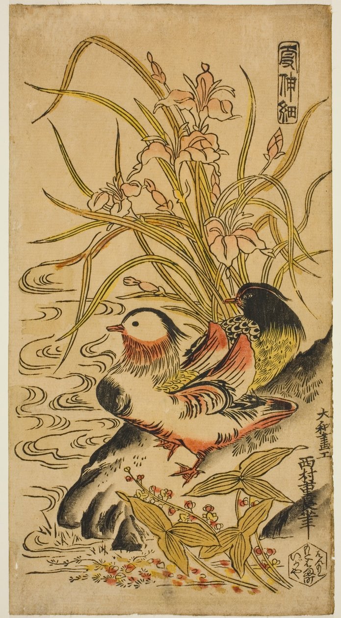 Mandarinenten, aus der Serie "Kashinsai" von Nishimura Shigenaga