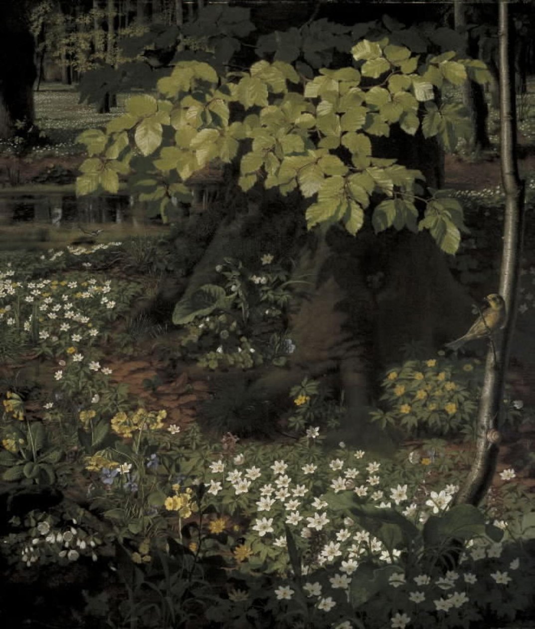 Frühling im Charlottenlund-Wald von O.D. Ottesen