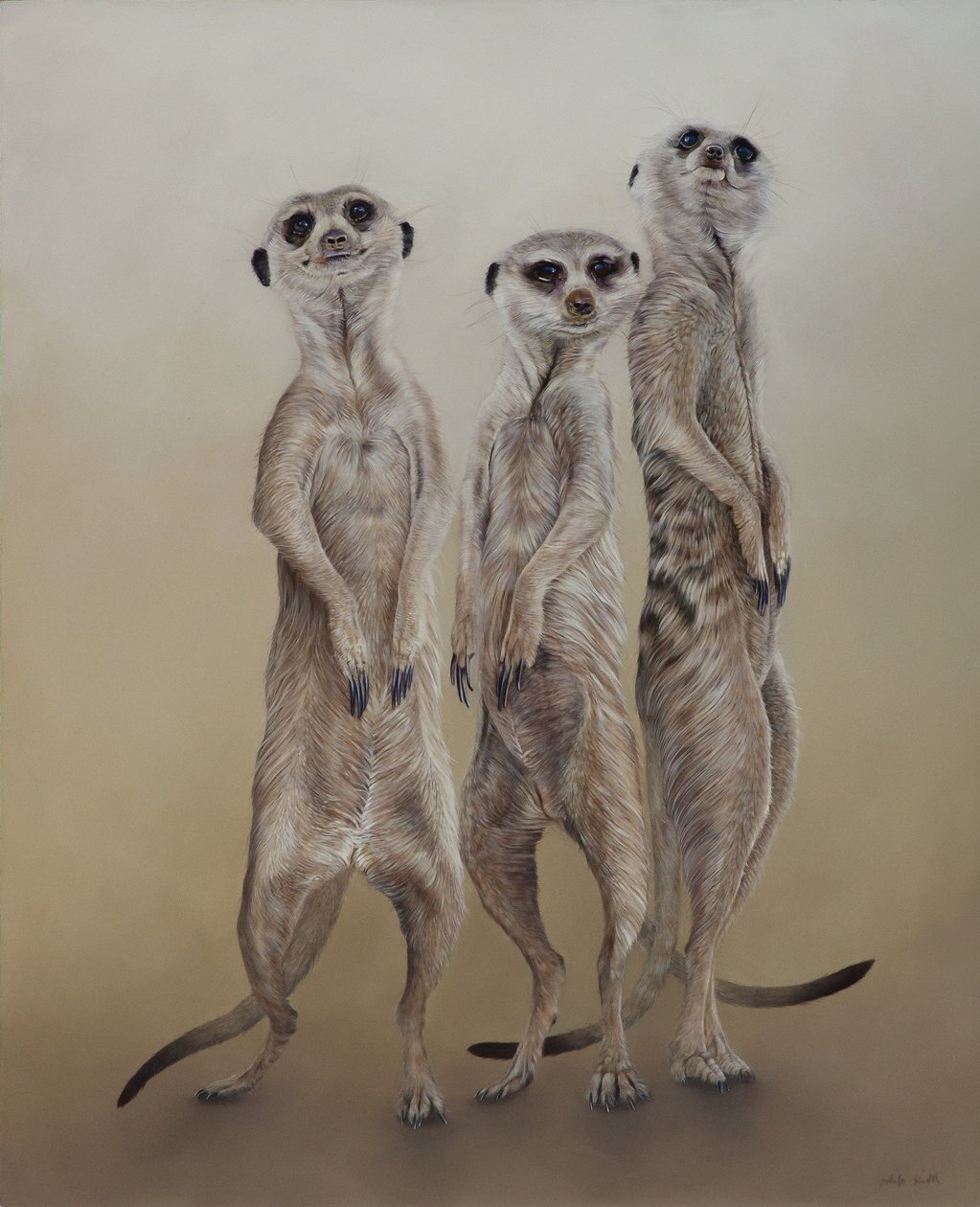 Erdmännchen, 2014 von Odile Kidd