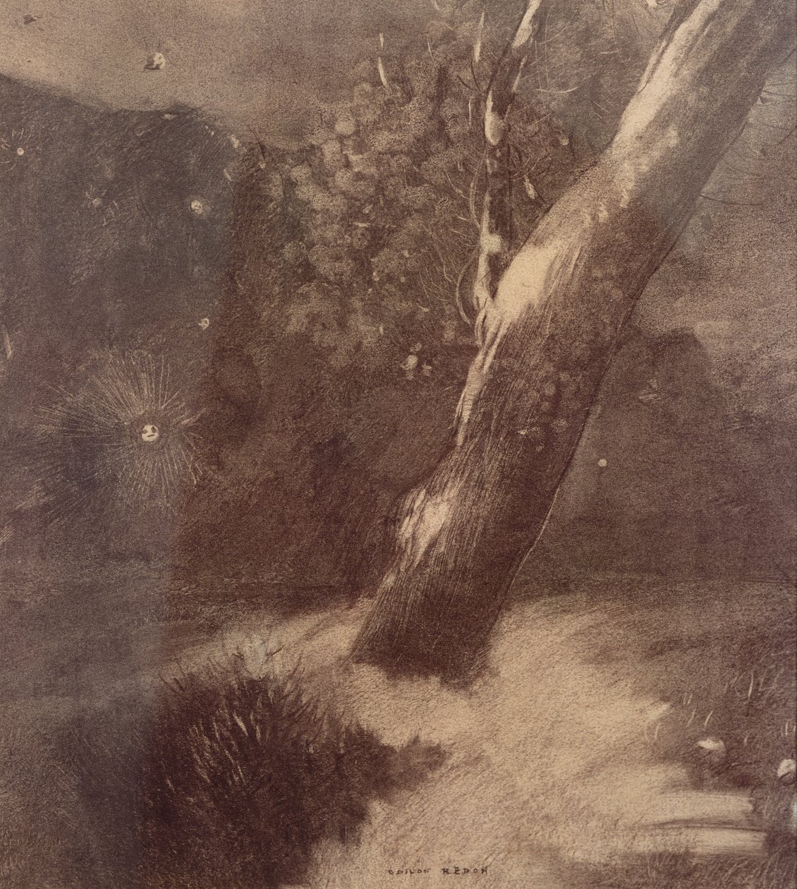 Baum und Sterne von Odilon Redon