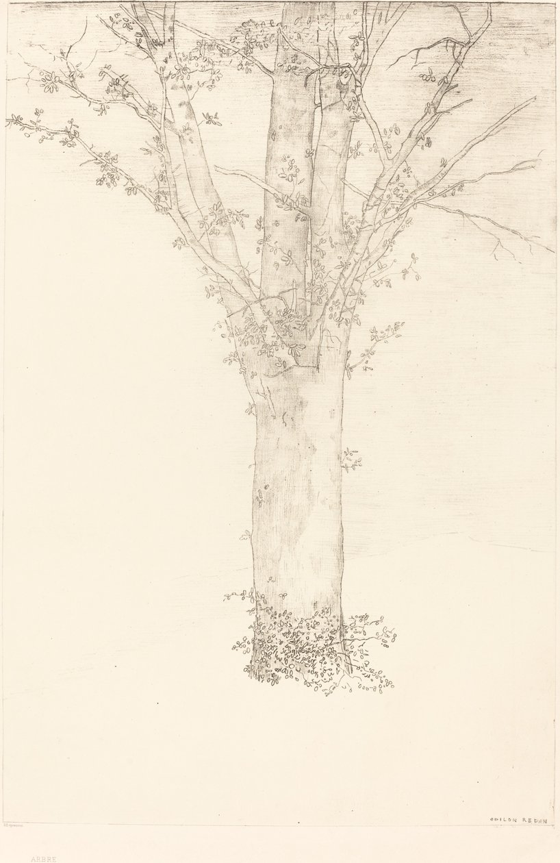 Arbre (Baum) von Odilon Redon