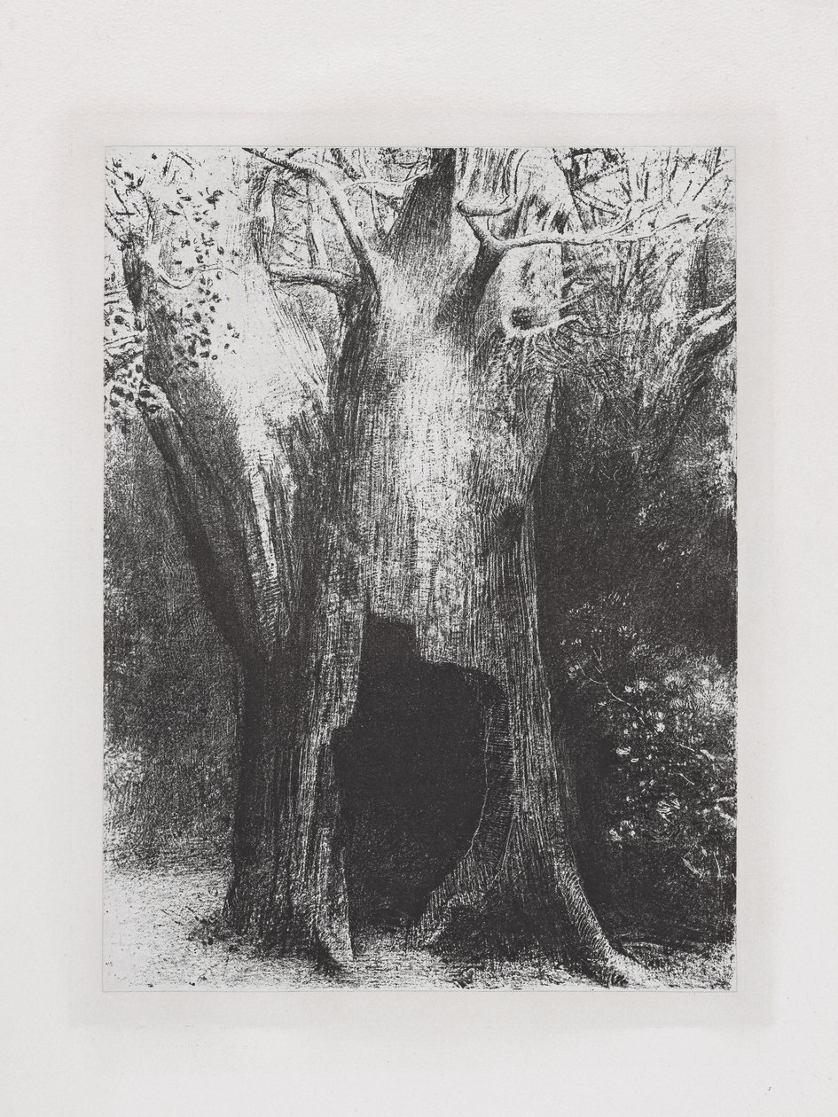 Ich habe mich in die Einsamkeit vertieft von Odilon Redon