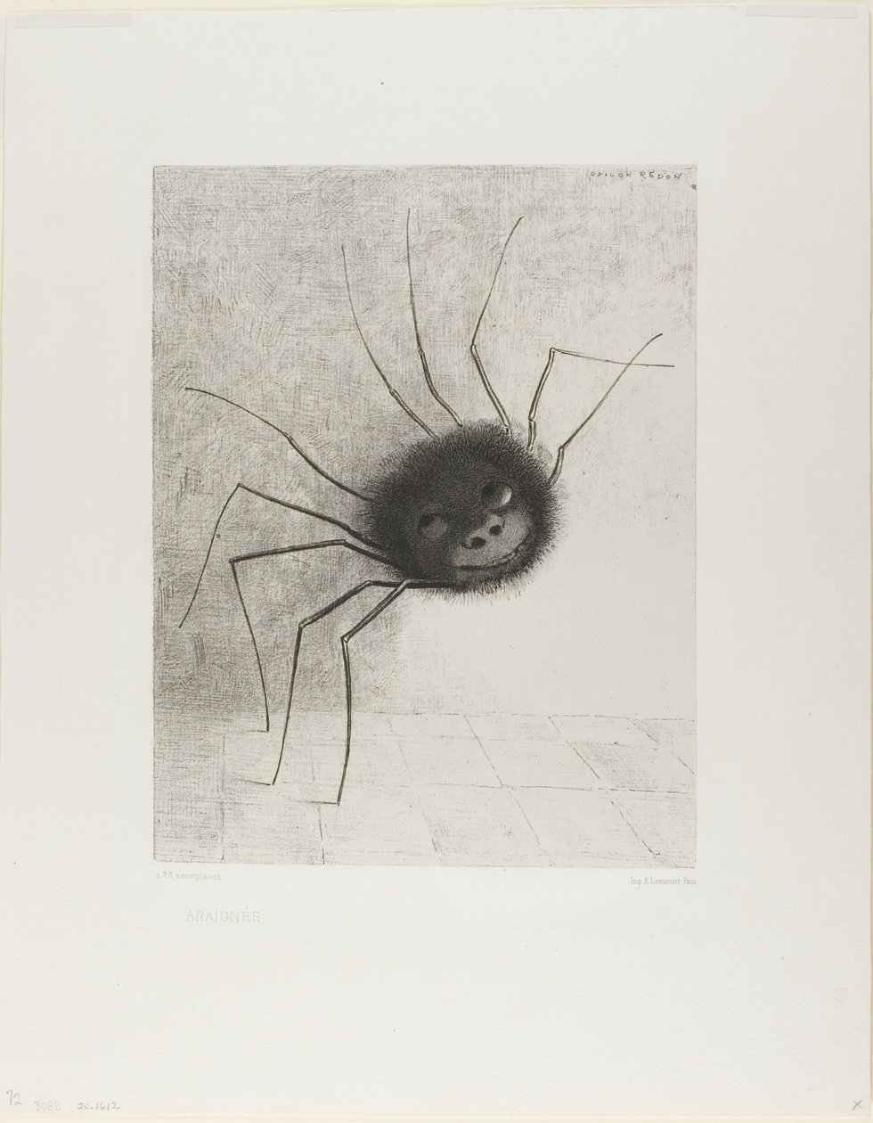 Spinne von Odilon Redon