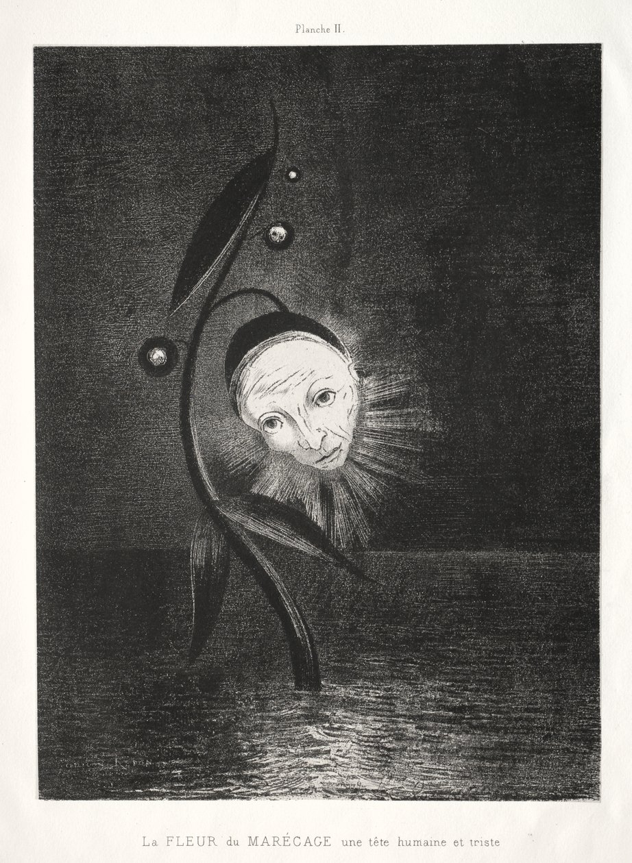 Die Sumpfblume, ein trauriger menschlicher Kopf von Odilon Redon