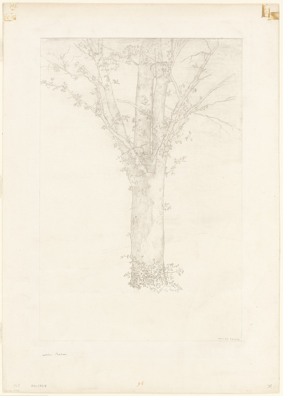 Baum von Odilon Redon