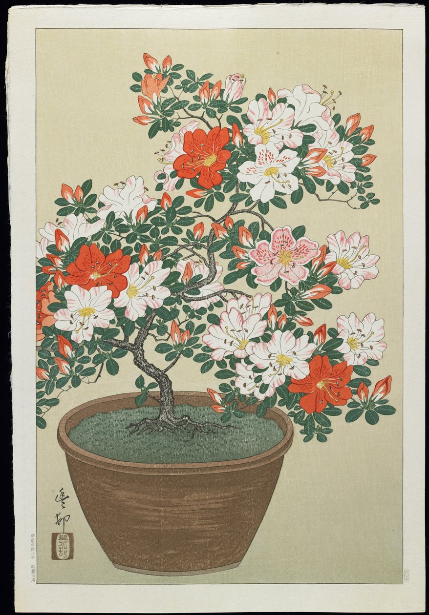 Azalee im Topf, 1930er Jahre von Ohara Koson