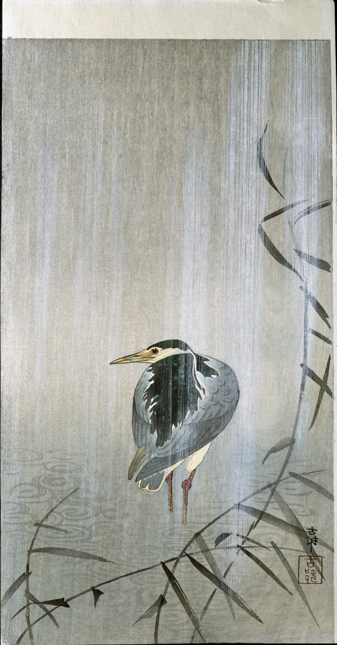 Vogel im Regen, 1907 von Ohara Koson