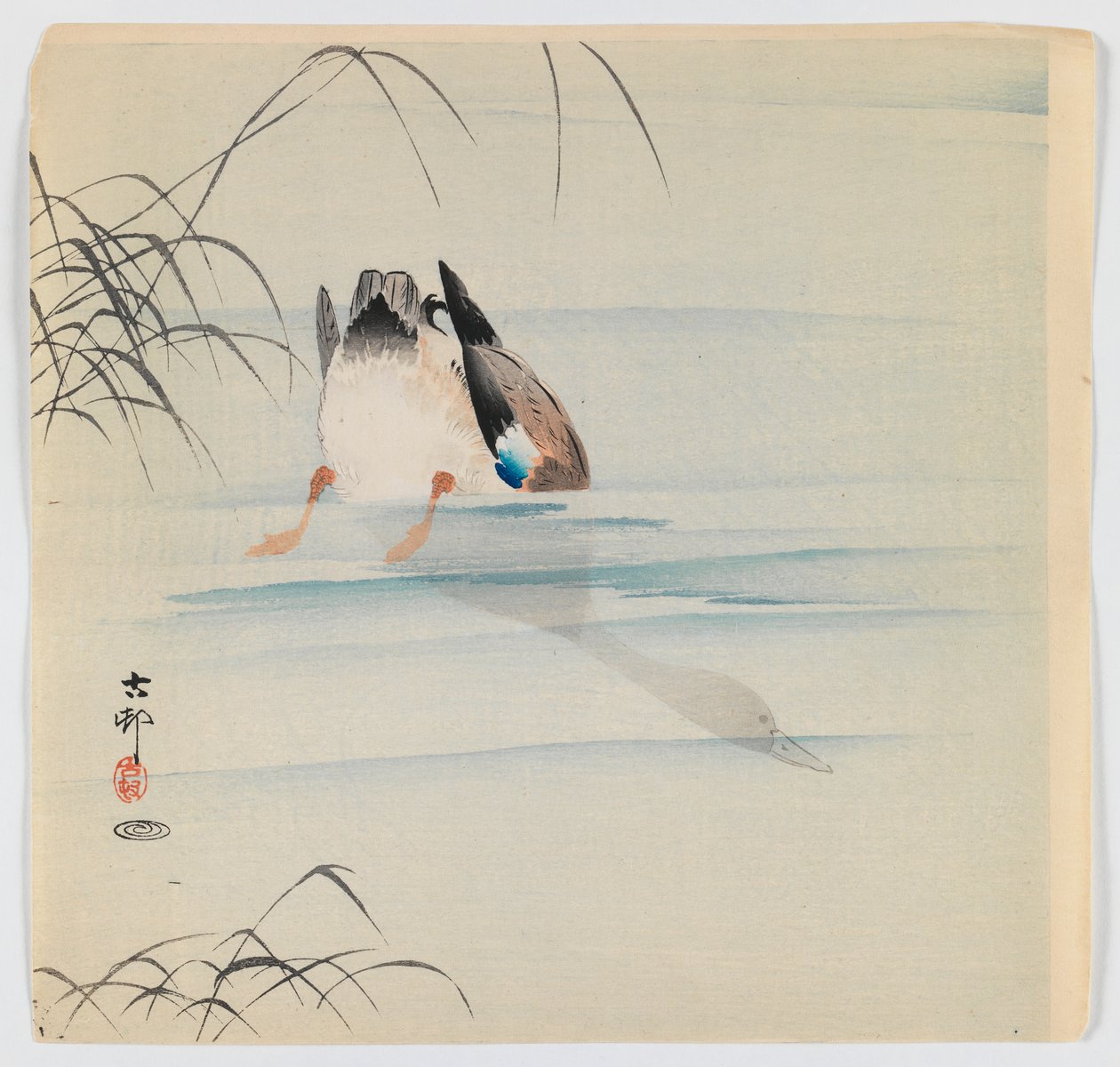 Tauchende Stockente, ca. 1910 von Ohara Koson