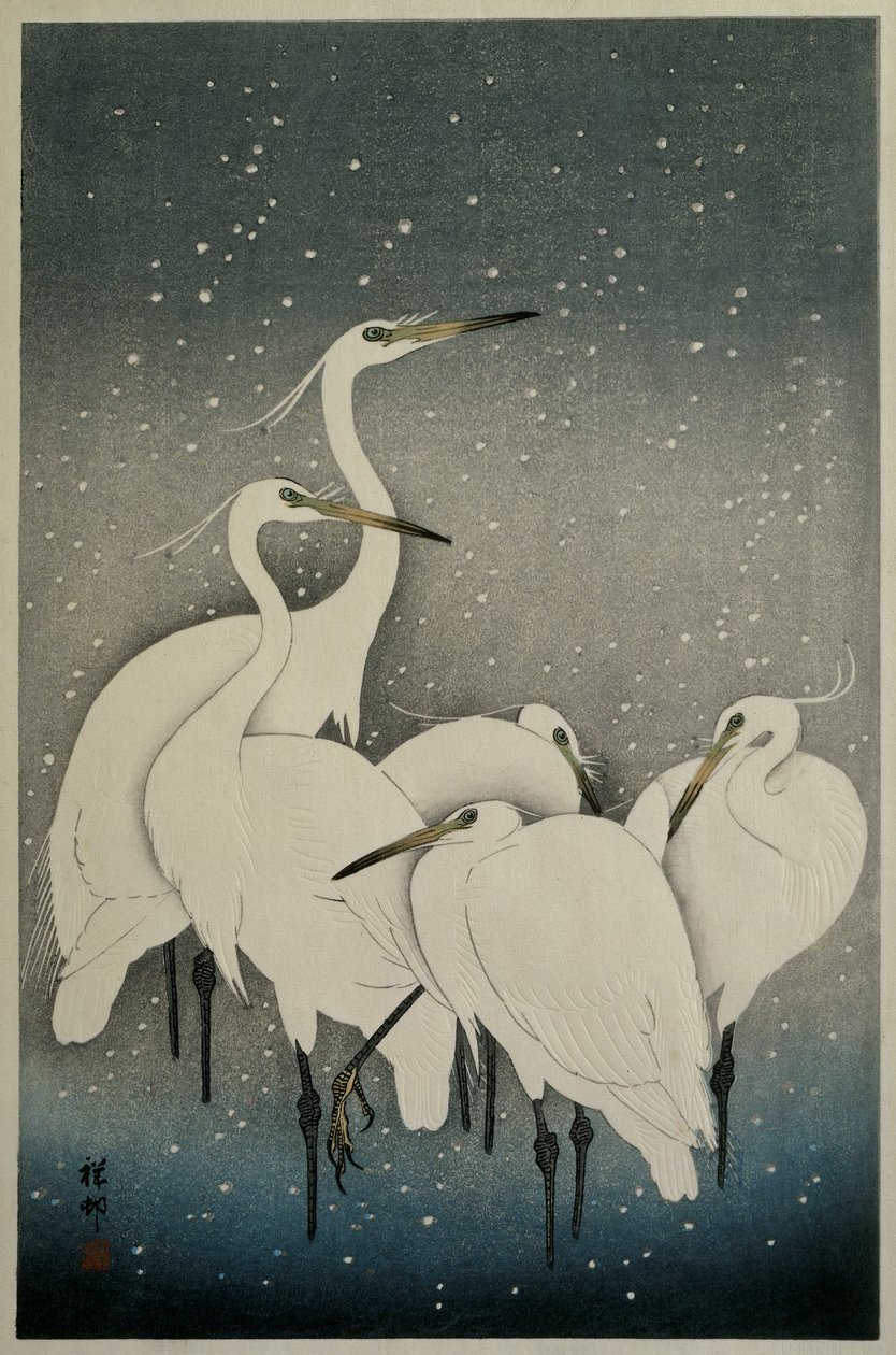 Gruppe von Reihern von Ohara Koson