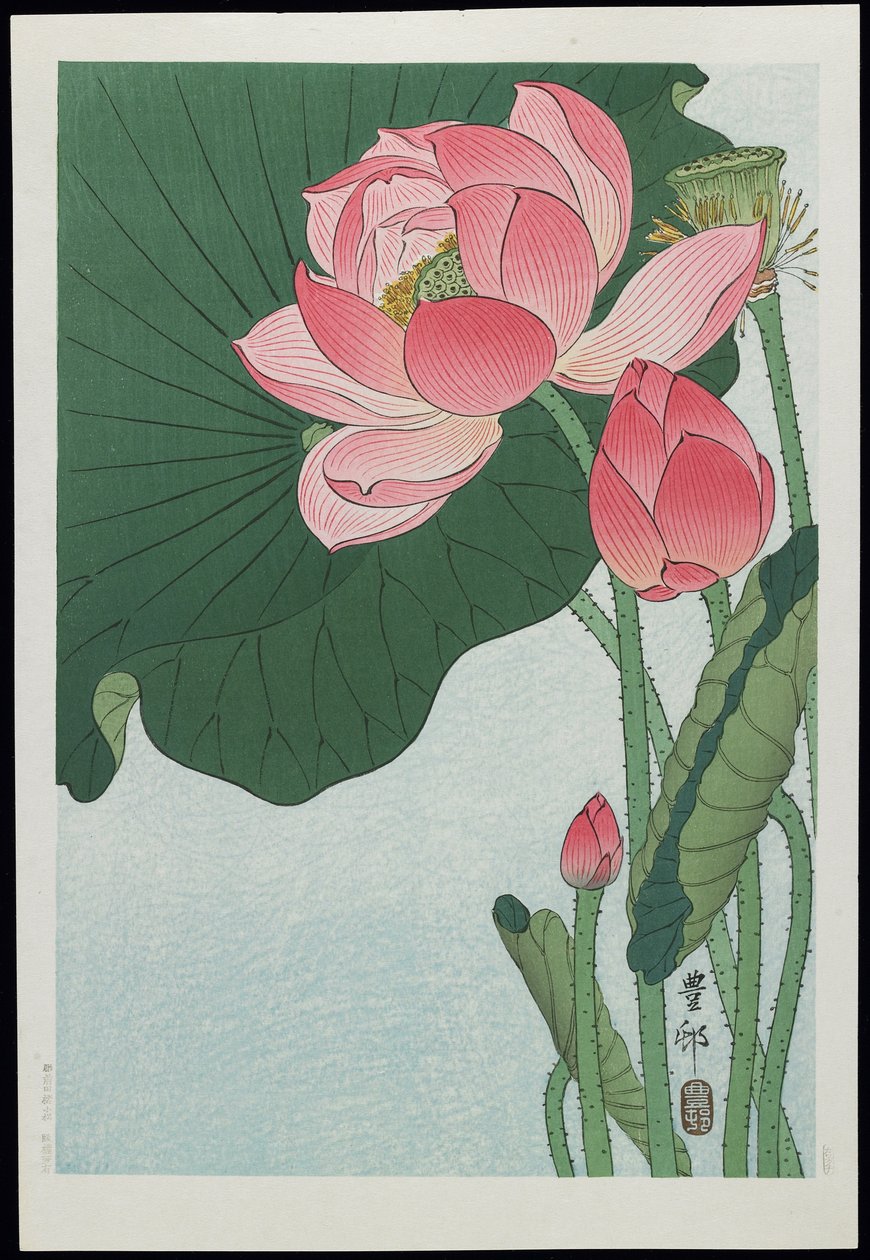 Lotus, 1930er Jahre von Ohara Koson