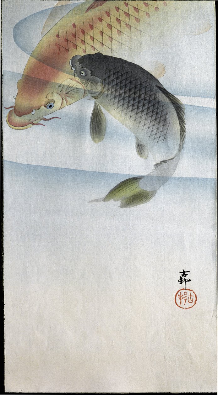 Zwei Karpfen in einem Fluss, 1907 von Ohara Koson