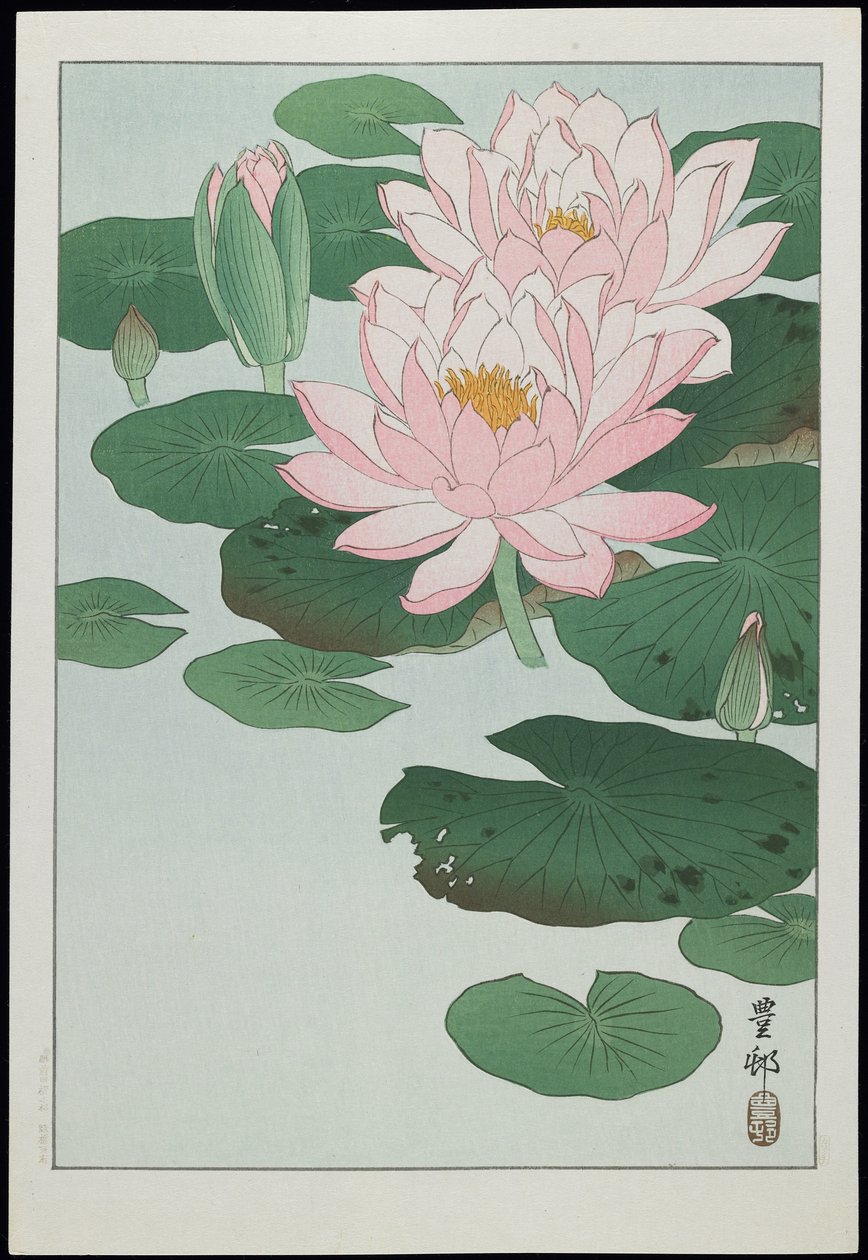 Seerose, 1930er Jahre von Ohara Koson