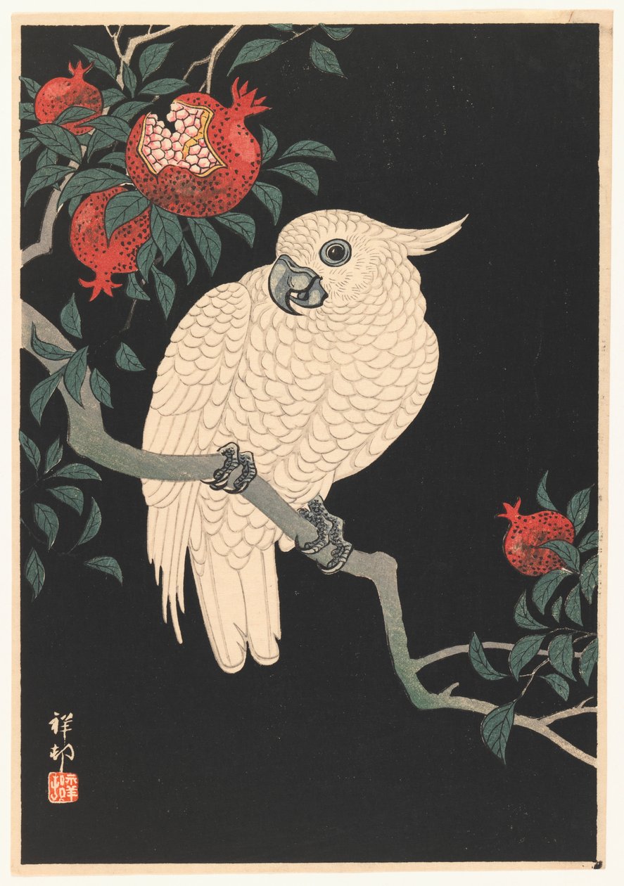 Weißer Papagei und Granatapfel von Ohara Koson