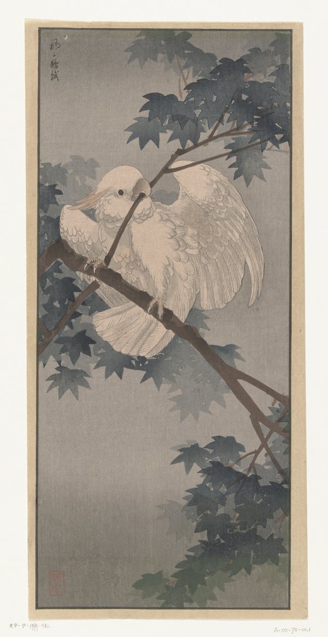 Gelbhaubenkakadu im Baum von Ohara Koson (attributed to)
