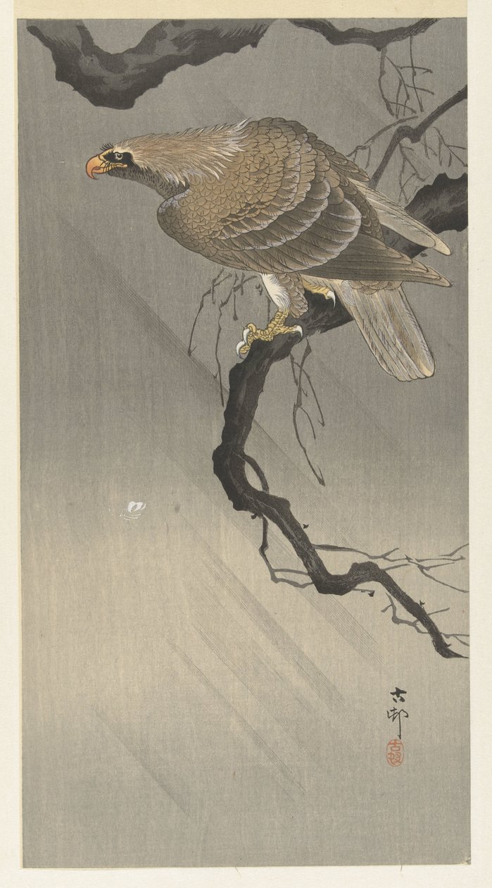 Adler auf einem Ast von Ohara Koson