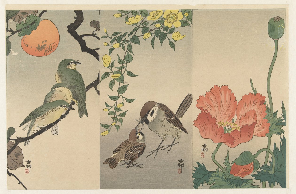 Vögel und Pflanzen von Ohara Koson