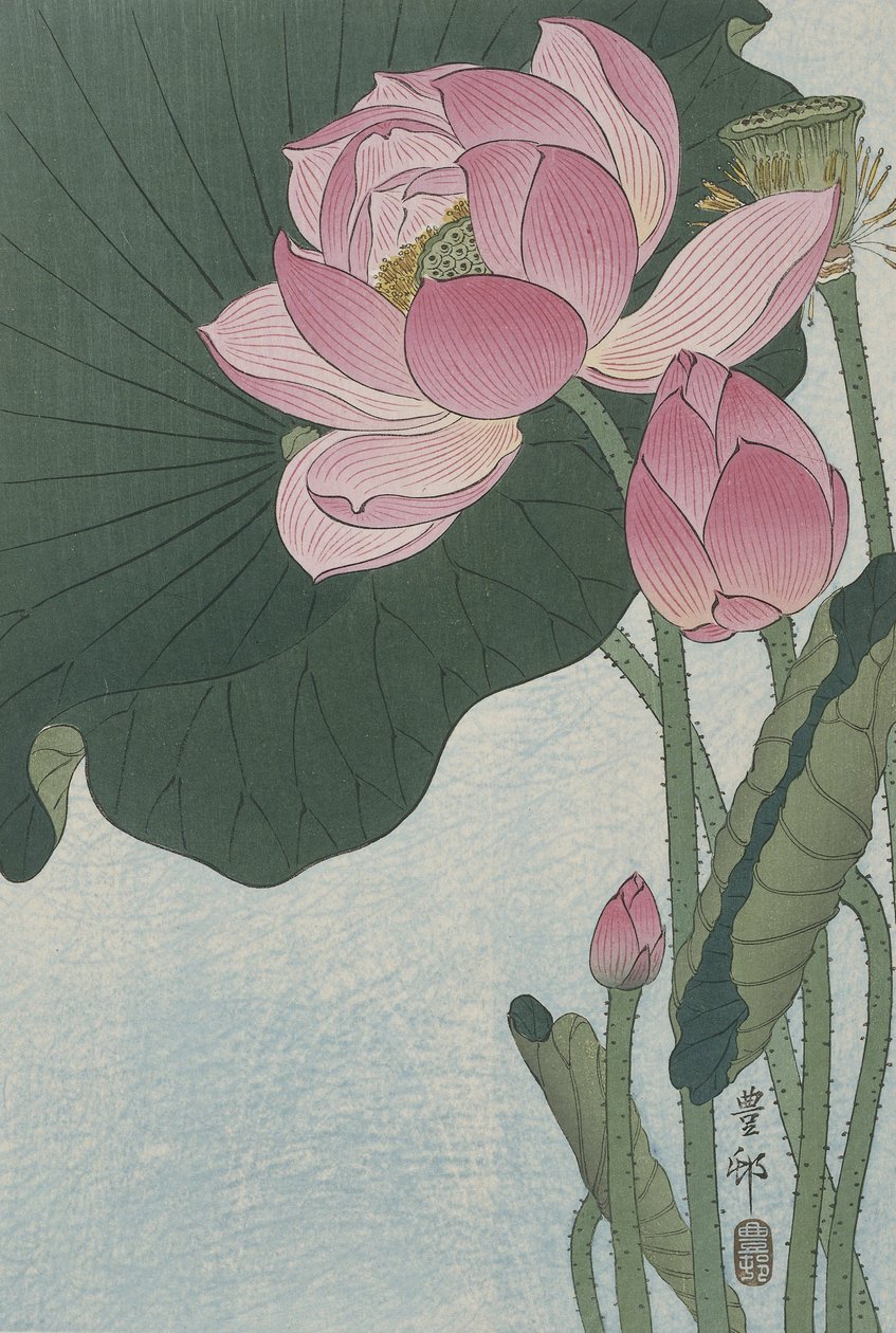 Blühende Lotusblumen von Ohara Koson