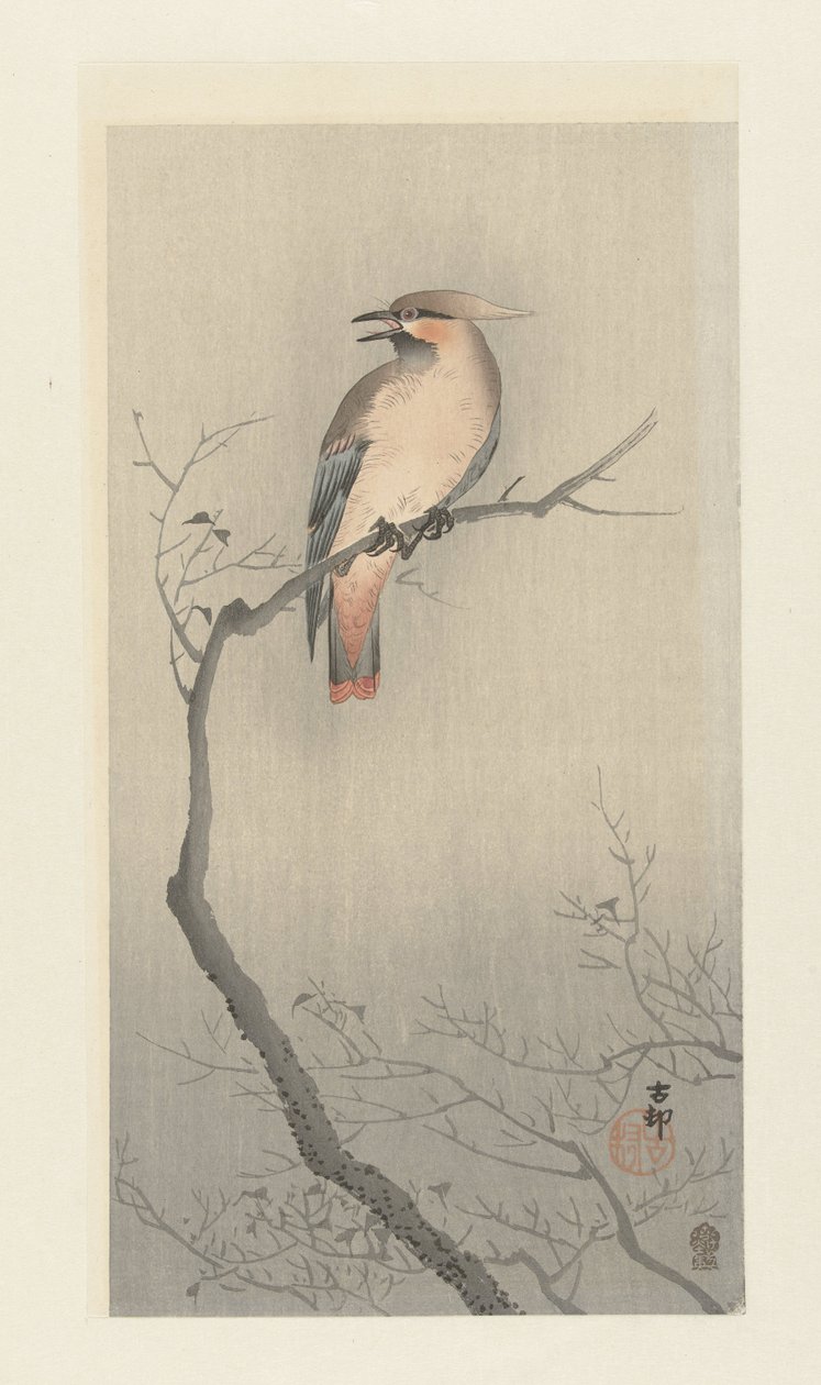 Seidenschwanz auf einem Zweig von Ohara Koson
