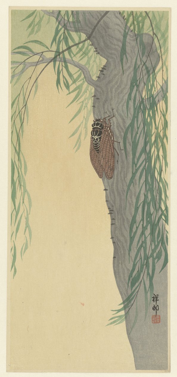 Zikade auf einem Baum von Ohara Koson