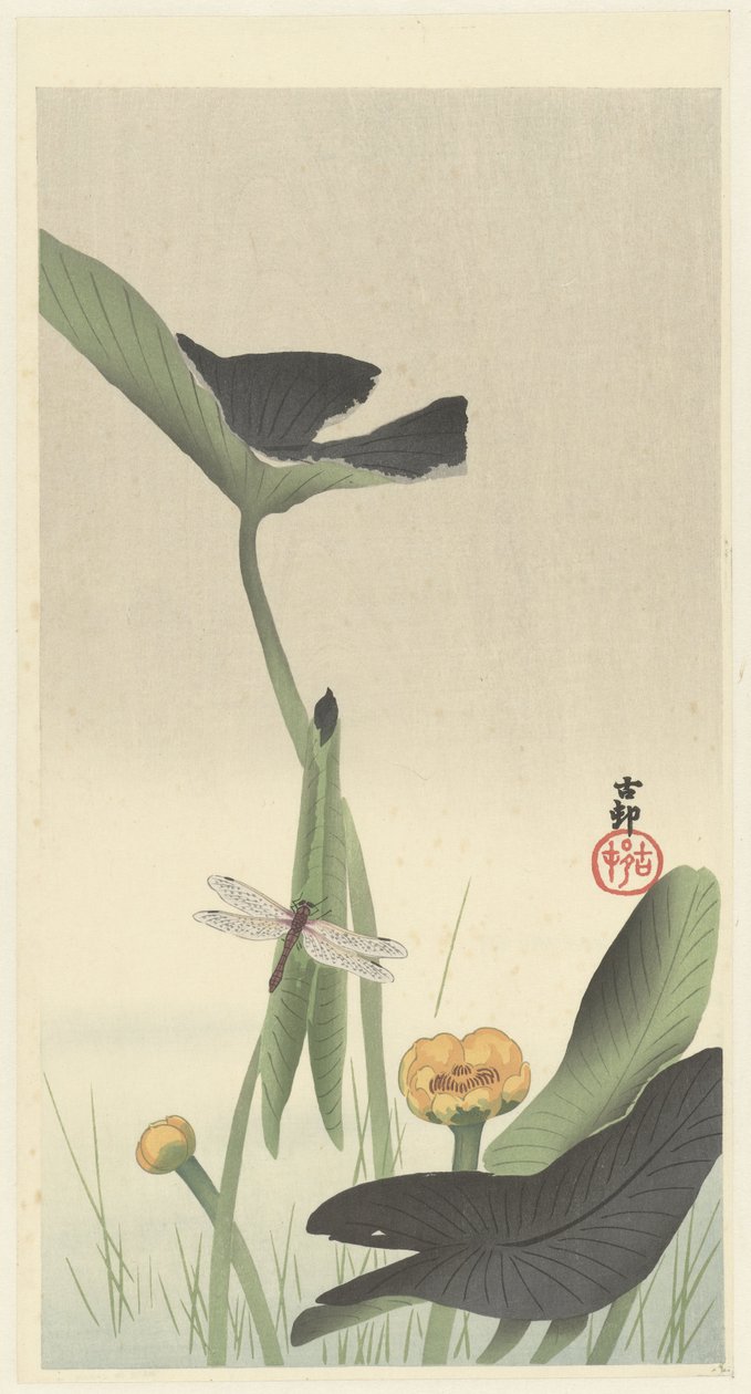 Libelle und Lotusblume, ca. 1900-30 von Ohara Koson