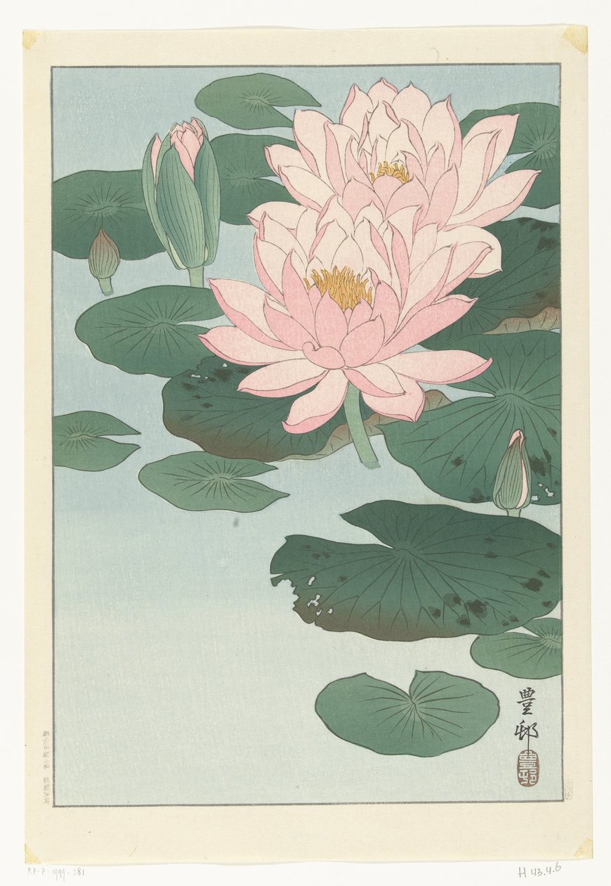 Blühende Seerose von Ohara Koson