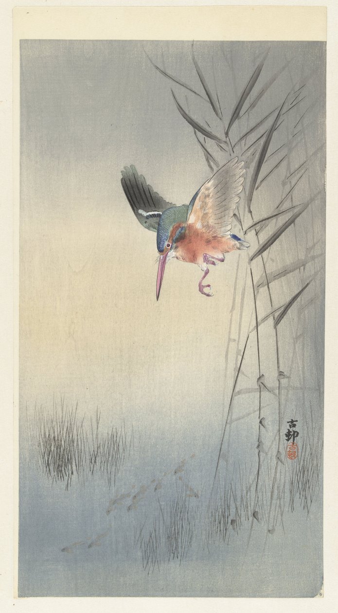 Eisvogel auf Fischfang von Ohara Koson