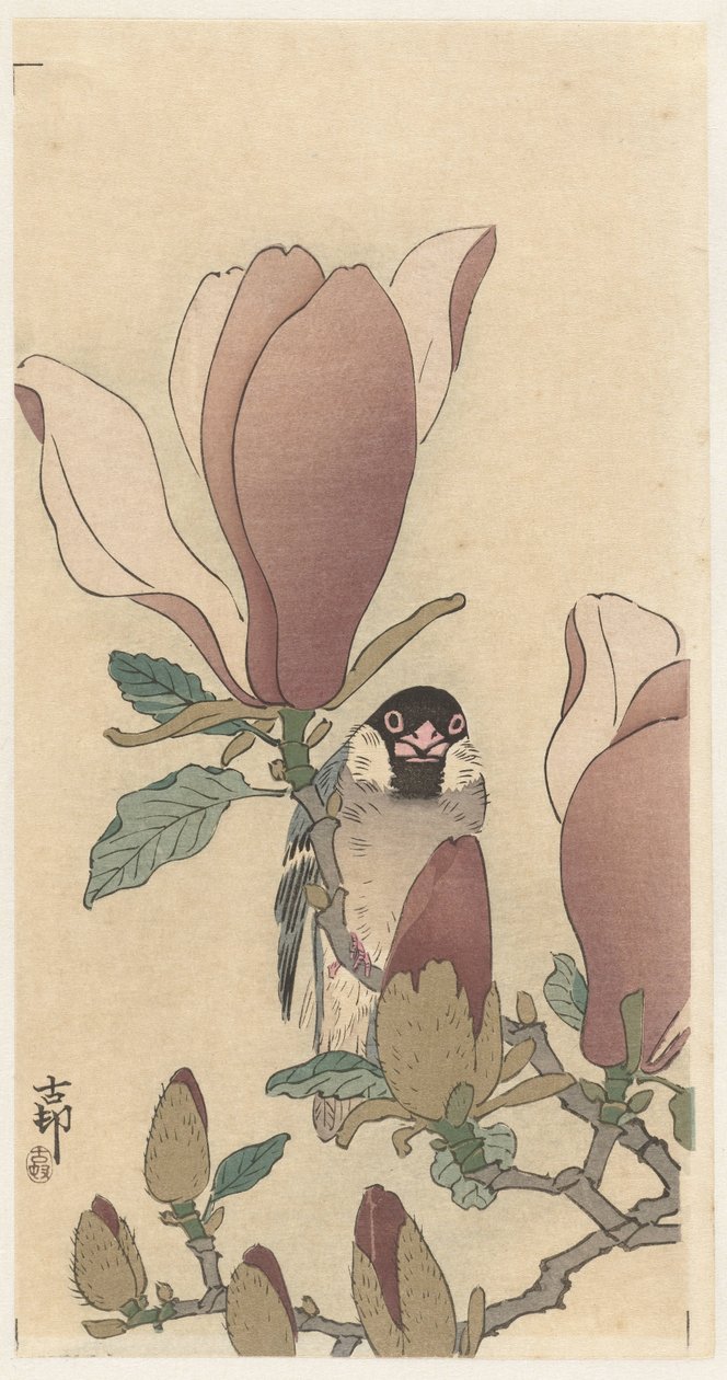 Spatz auf blühendem Magnolienzweig von Ohara Koson