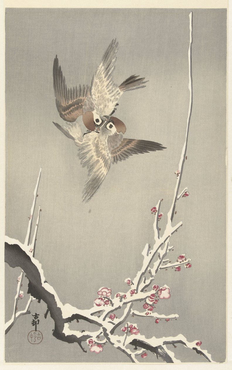 Spatzen und verschneiter Pflaumenbaum von Ohara Koson