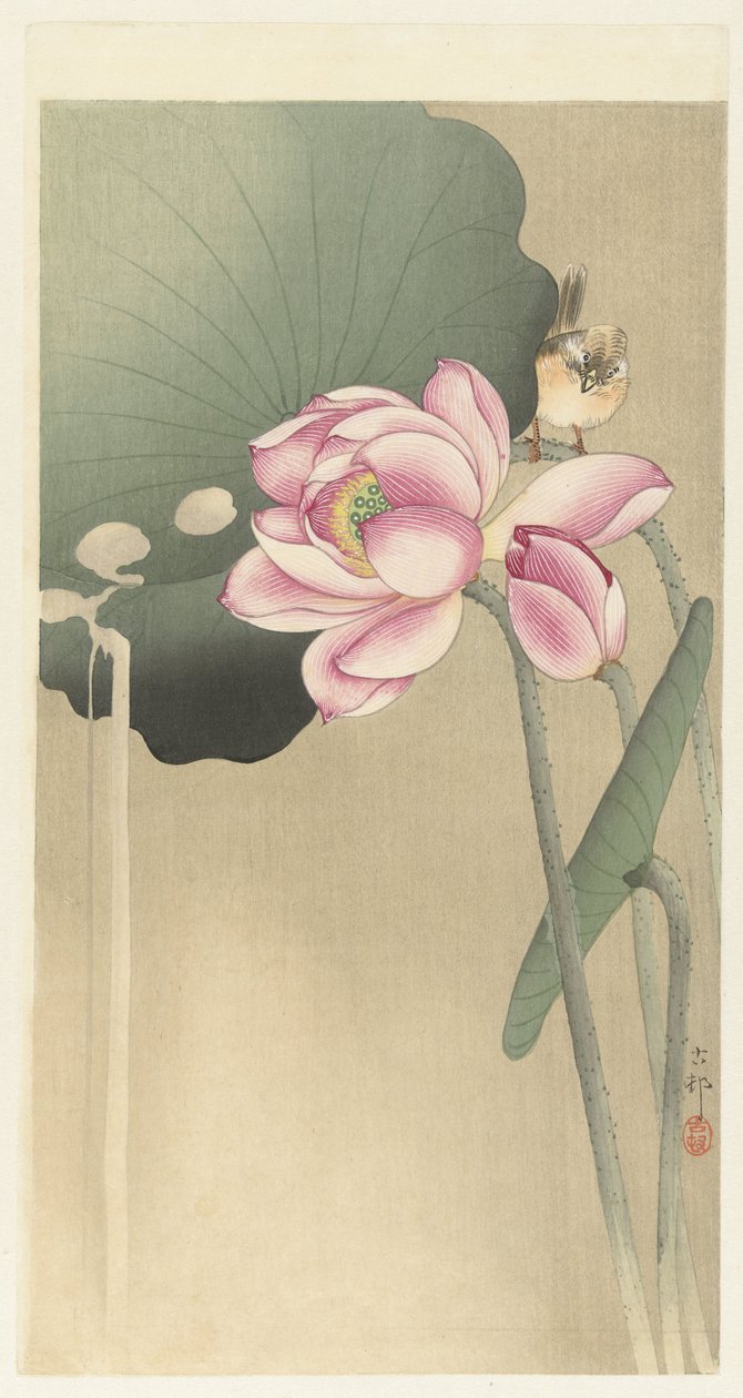 Singvogel und Lotus von Ohara Koson