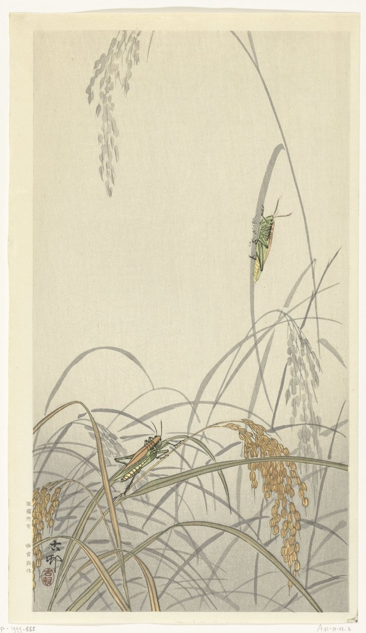 Heuschrecken auf Reis von Ohara Koson