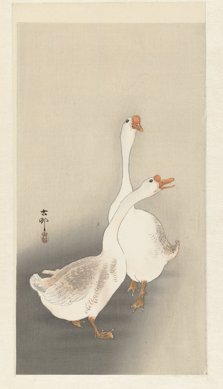 Zwei Gänse von Ohara Koson