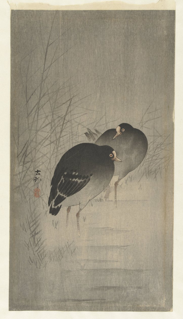 Teichhühner im Schilf von Ohara Koson