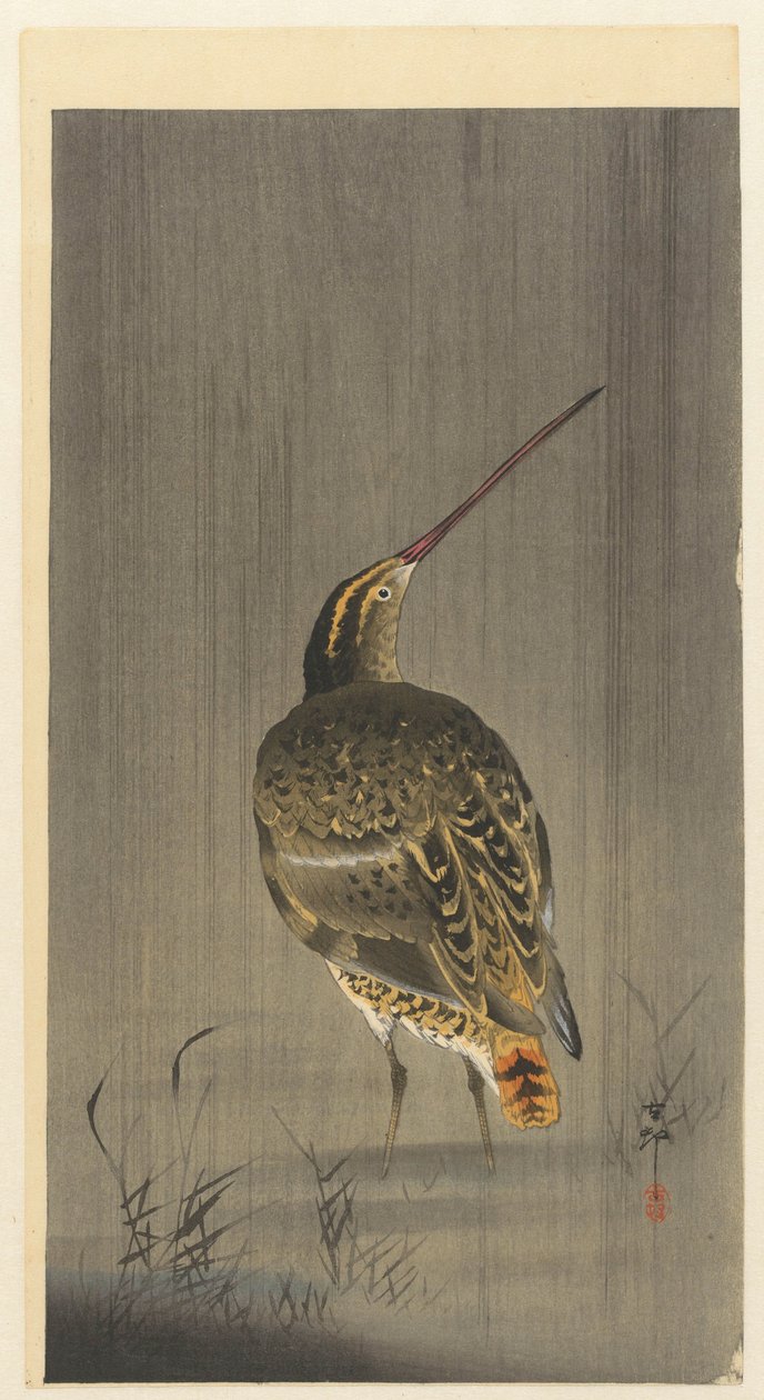 Bekassine im Regen von Ohara Koson