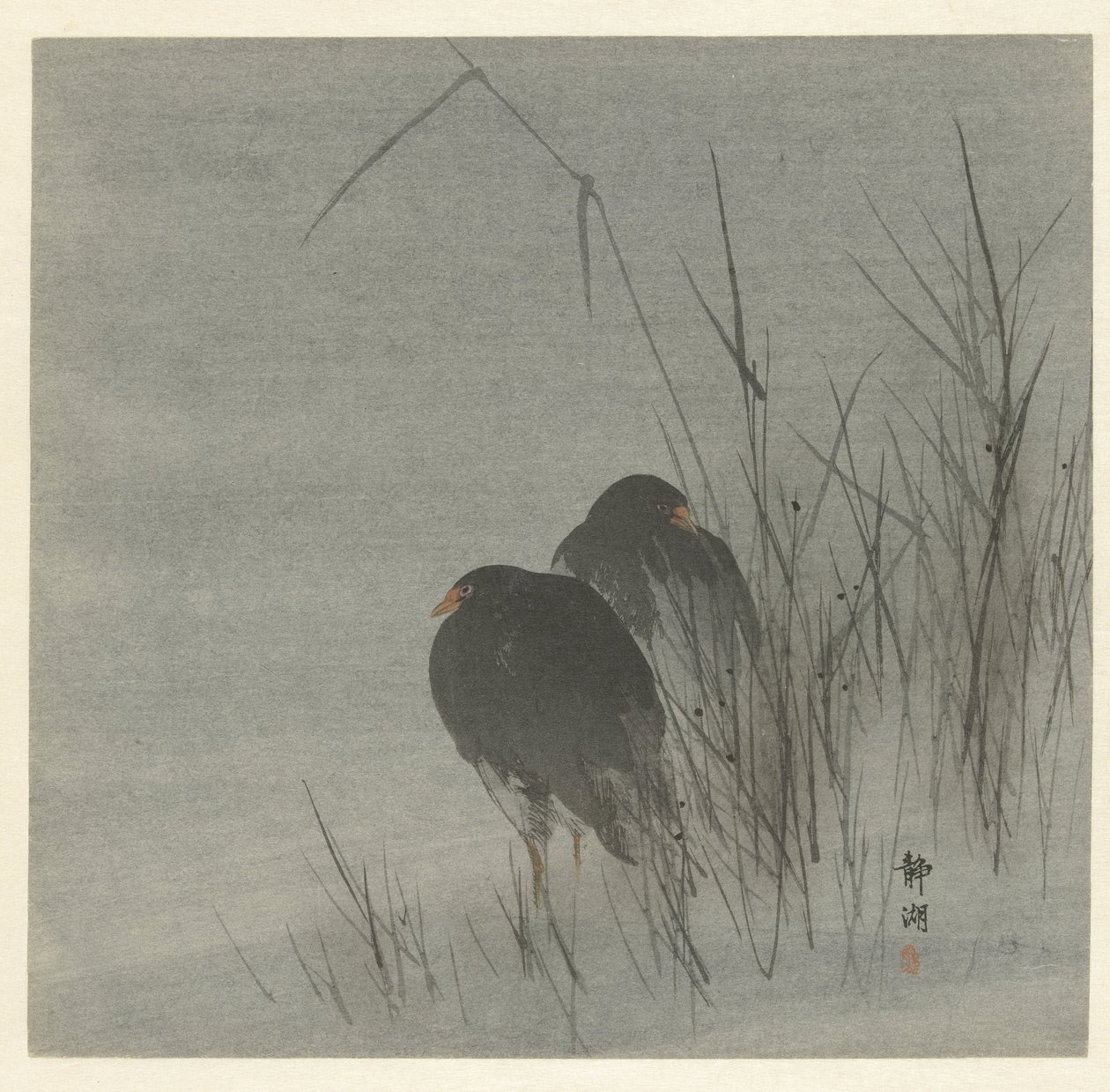 Zwei Blässhühner im Schilf von Okuhara Seiko