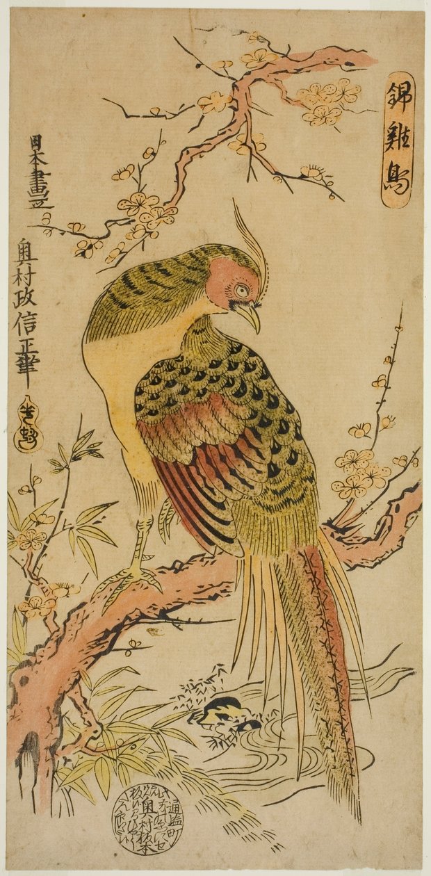 Goldfasan (Kinkeicho) von Okumura Masanobu