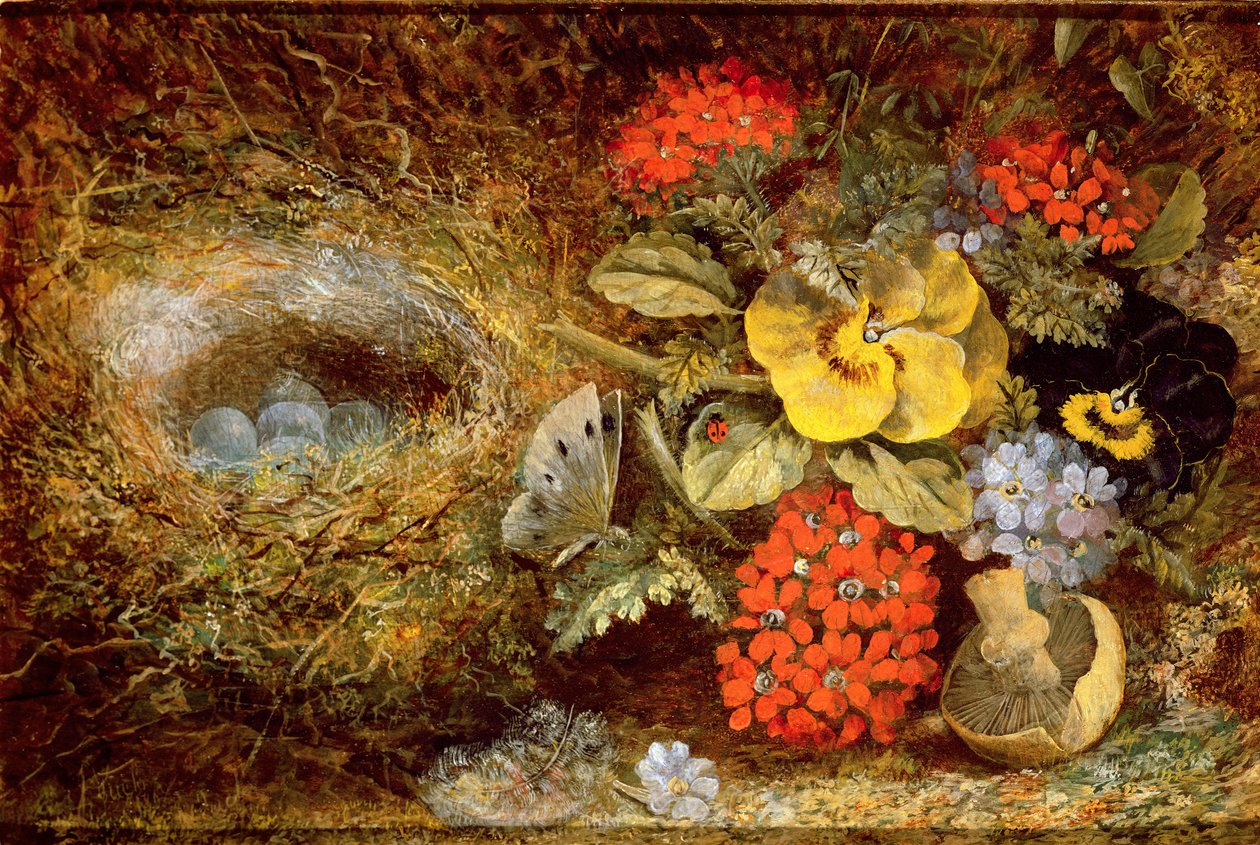 Blumen und Vogelnest mit Schmetterling und Pilz von Oliver Clare